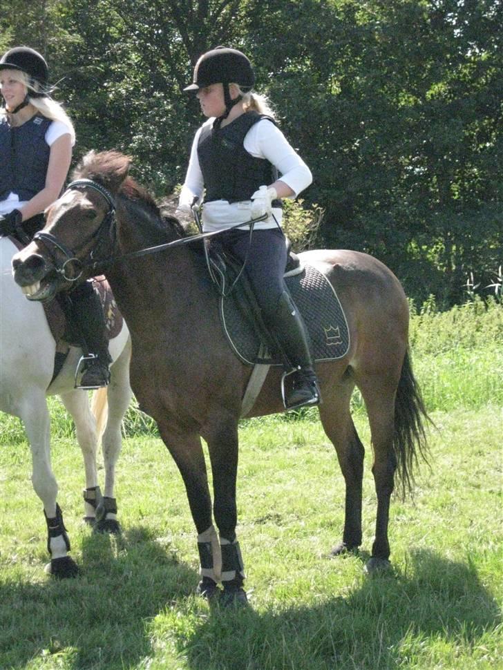 Søborggård Ridelejr Uge 32 billede 280