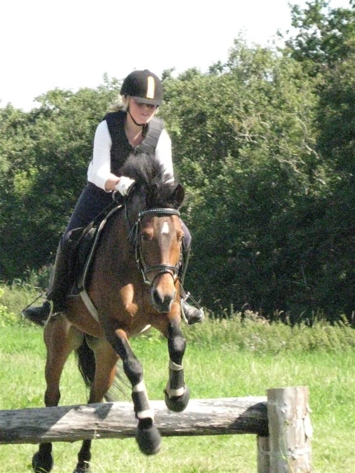 Søborggård Ridelejr Uge 32 billede 281