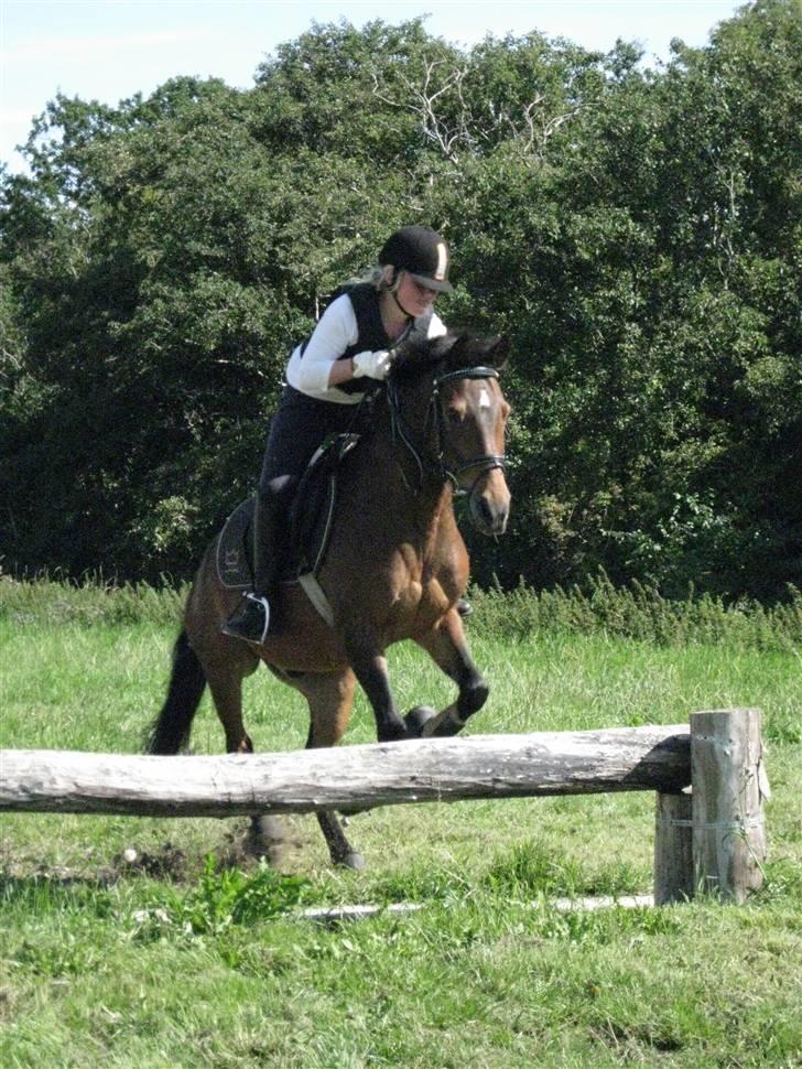 Søborggård Ridelejr Uge 32 billede 282