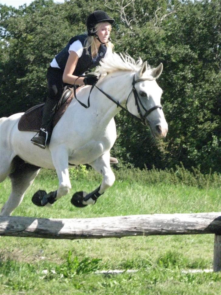 Søborggård Ridelejr Uge 32 billede 283