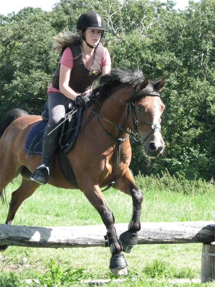 Søborggård Ridelejr Uge 32 billede 284