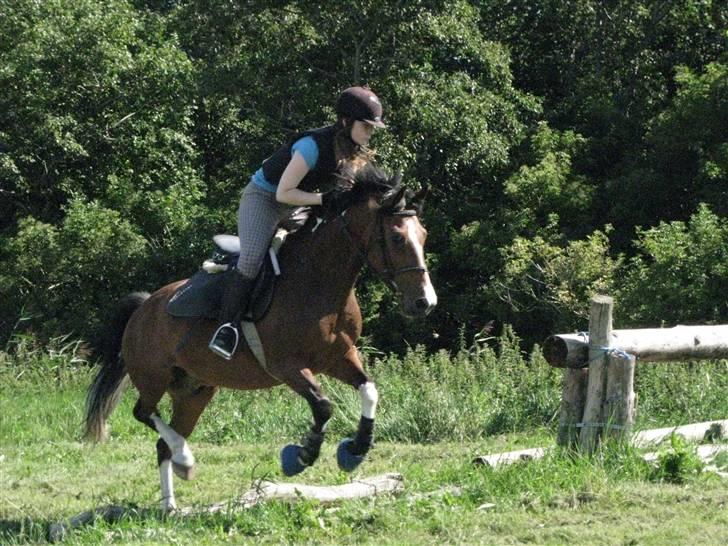 Søborggård Ridelejr Uge 32 billede 285