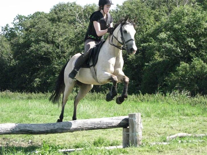 Søborggård Ridelejr Uge 32 billede 286