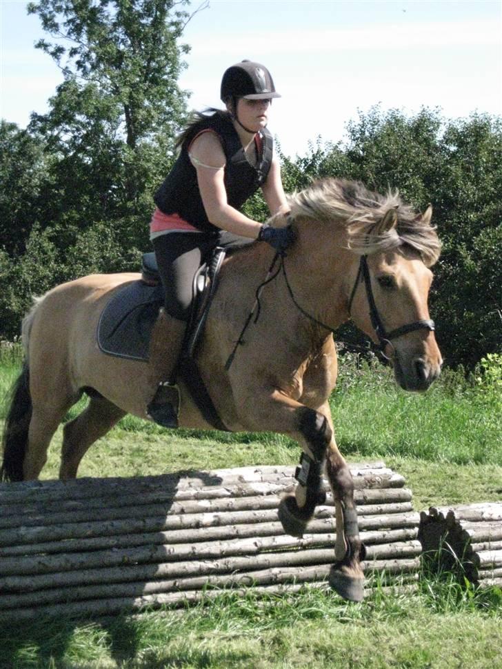 Søborggård Ridelejr Uge 32 billede 290