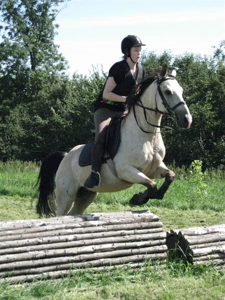 Søborggård Ridelejr Uge 32 billede 291