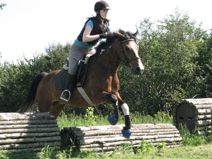 Søborggård Ridelejr Uge 32 billede 292