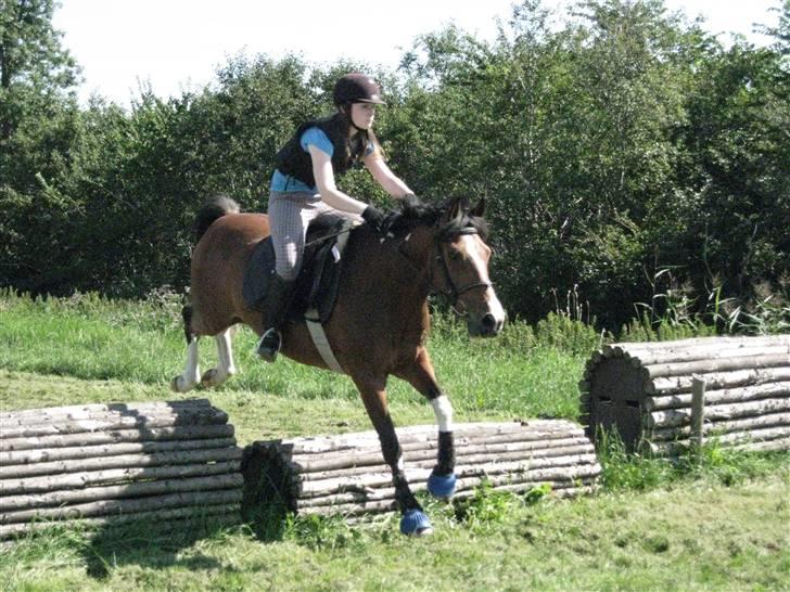 Søborggård Ridelejr Uge 32 billede 293