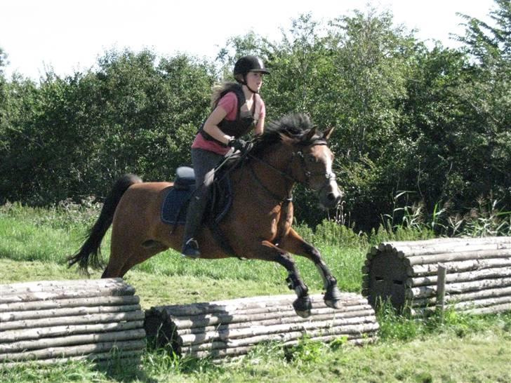 Søborggård Ridelejr Uge 32 billede 294