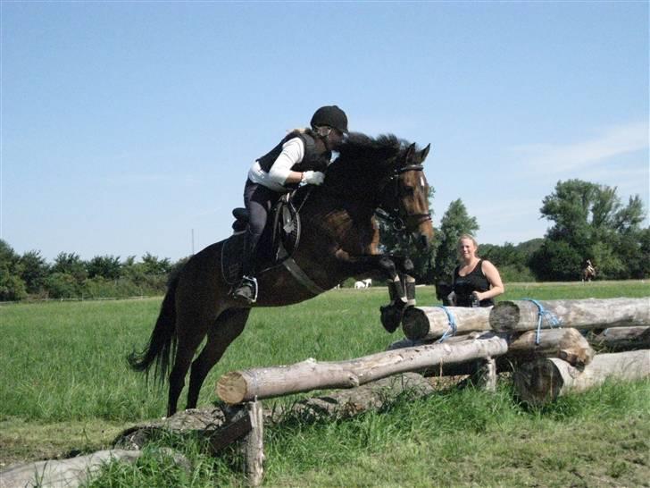 Søborggård Ridelejr Uge 32 billede 297