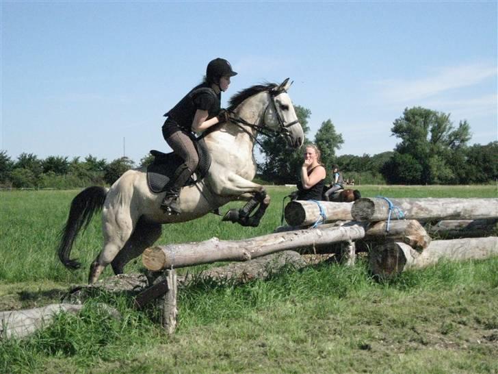 Søborggård Ridelejr Uge 32 billede 298