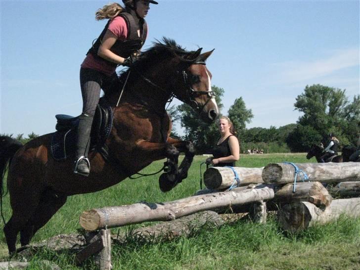 Søborggård Ridelejr Uge 32 billede 299