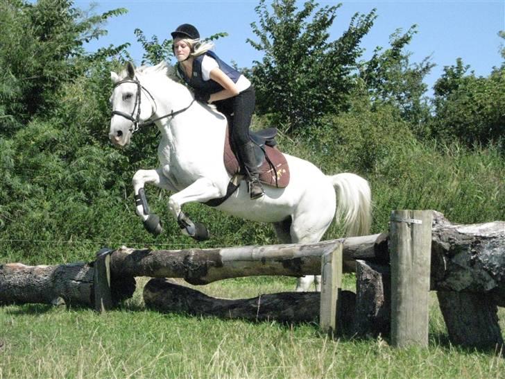 Søborggård Ridelejr Uge 32 billede 300