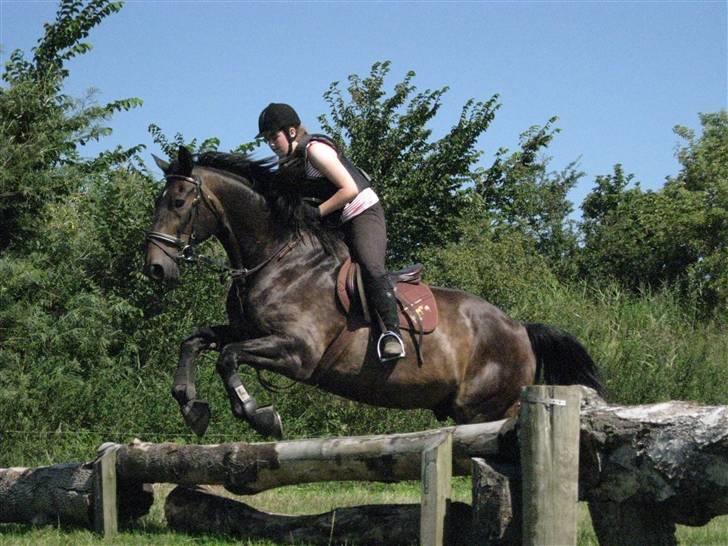 Søborggård Ridelejr Uge 32 billede 301