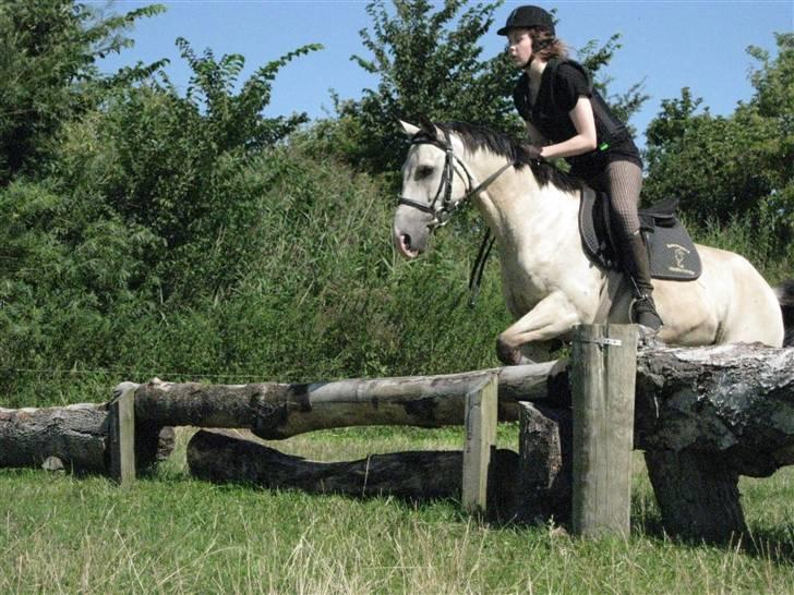 Søborggård Ridelejr Uge 32 billede 302