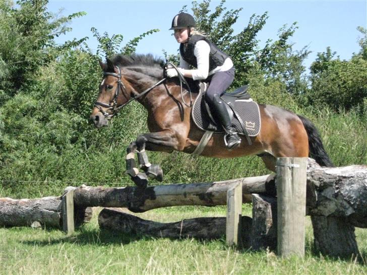 Søborggård Ridelejr Uge 32 billede 303