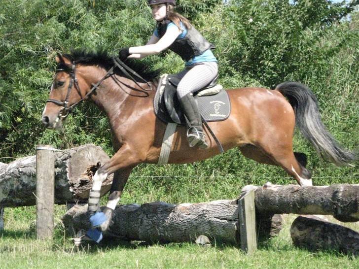 Søborggård Ridelejr Uge 32 billede 304