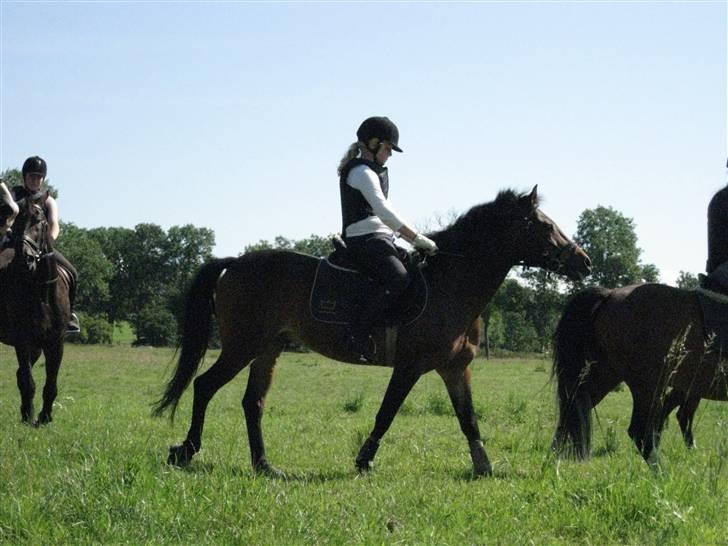 Søborggård Ridelejr Uge 32 billede 305