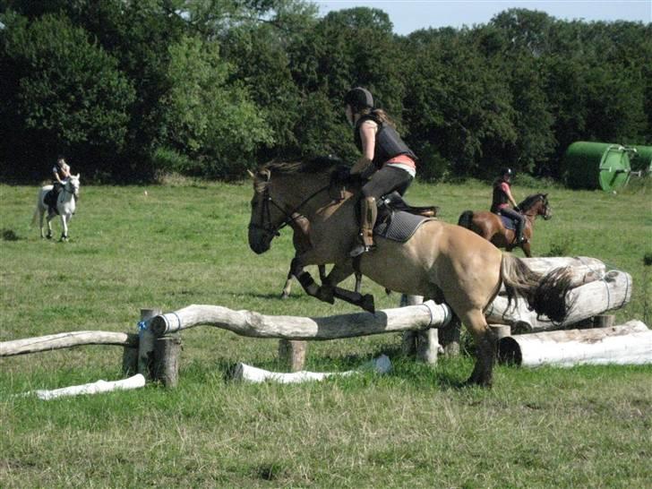 Søborggård Ridelejr Uge 32 billede 306