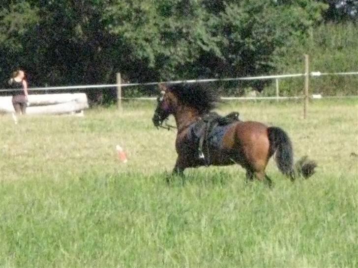 Søborggård Ridelejr Uge 32 billede 307