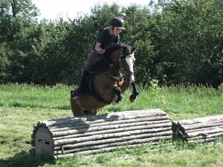 Søborggård Ridelejr Uge 32 billede 308
