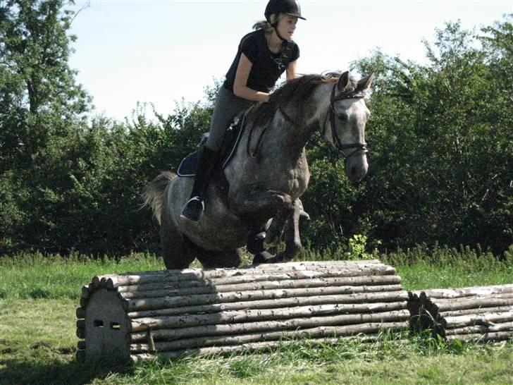 Søborggård Ridelejr Uge 32 billede 309