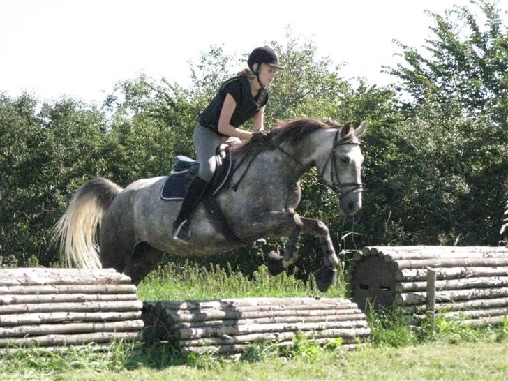 Søborggård Ridelejr Uge 32 billede 310