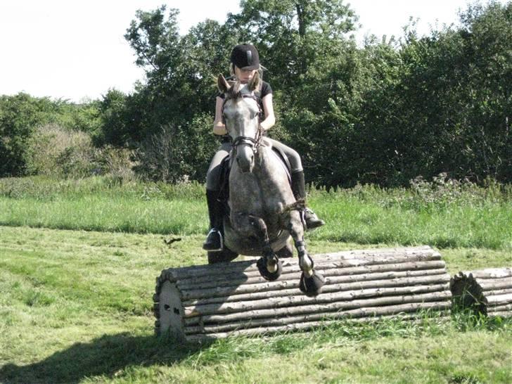 Søborggård Ridelejr Uge 32 billede 312