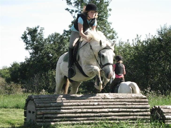 Søborggård Ridelejr Uge 32 billede 314
