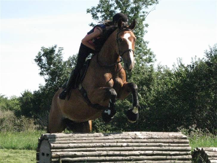 Søborggård Ridelejr Uge 32 billede 315