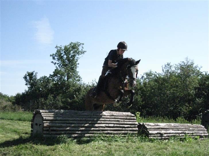 Søborggård Ridelejr Uge 32 billede 316