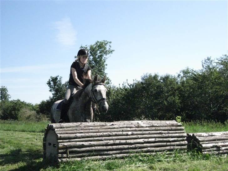 Søborggård Ridelejr Uge 32 billede 317