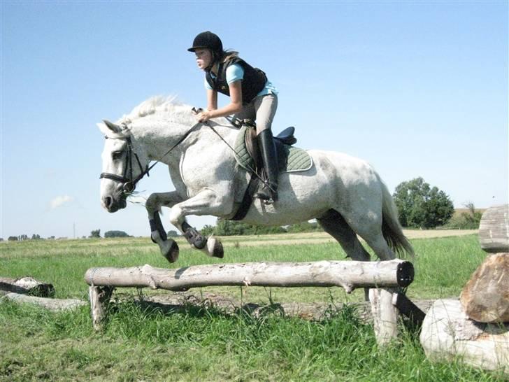 Søborggård Ridelejr Uge 32 billede 318