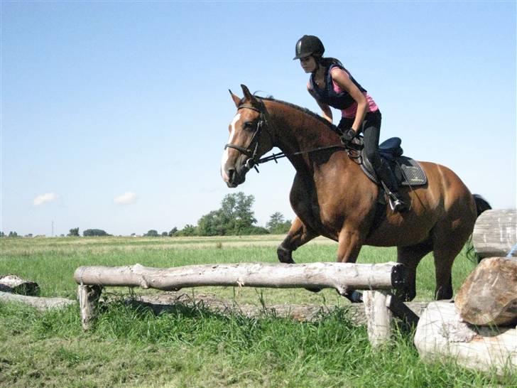 Søborggård Ridelejr Uge 32 billede 321