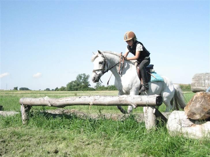Søborggård Ridelejr Uge 32 billede 322