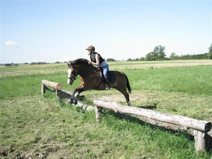Søborggård Ridelejr Uge 32 billede 324