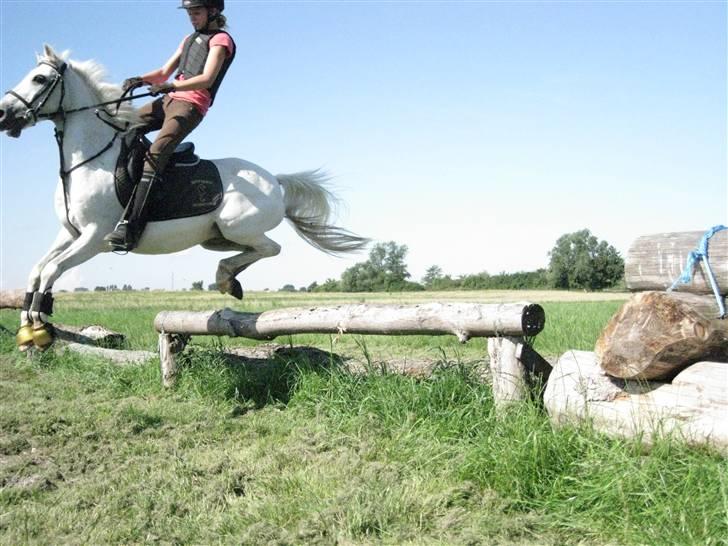 Søborggård Ridelejr Uge 32 billede 325