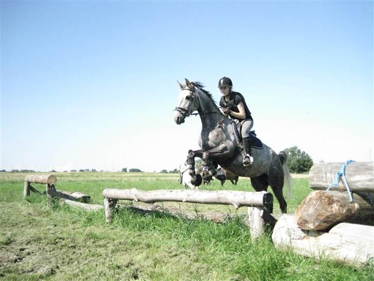 Søborggård Ridelejr Uge 32 billede 328