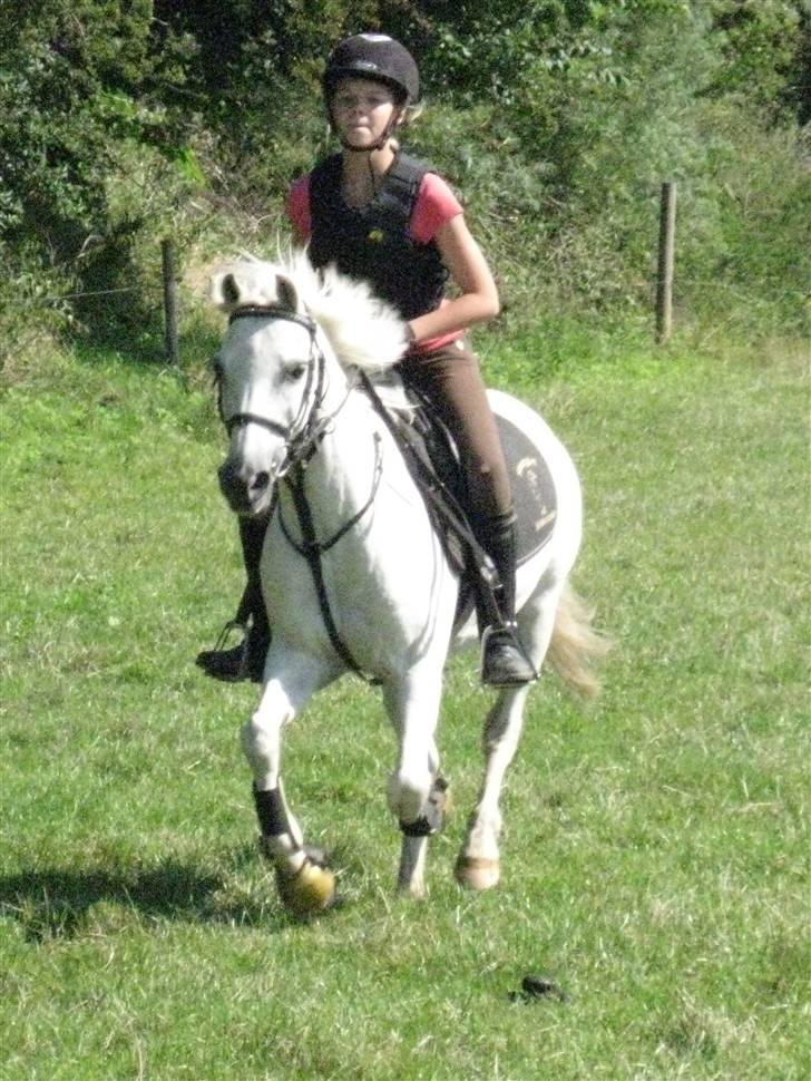 Søborggård Ridelejr Uge 32 billede 330