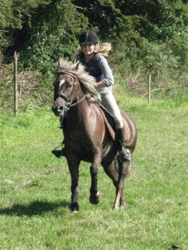 Søborggård Ridelejr Uge 32 billede 331