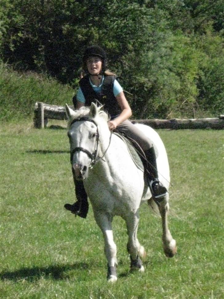 Søborggård Ridelejr Uge 32 billede 333