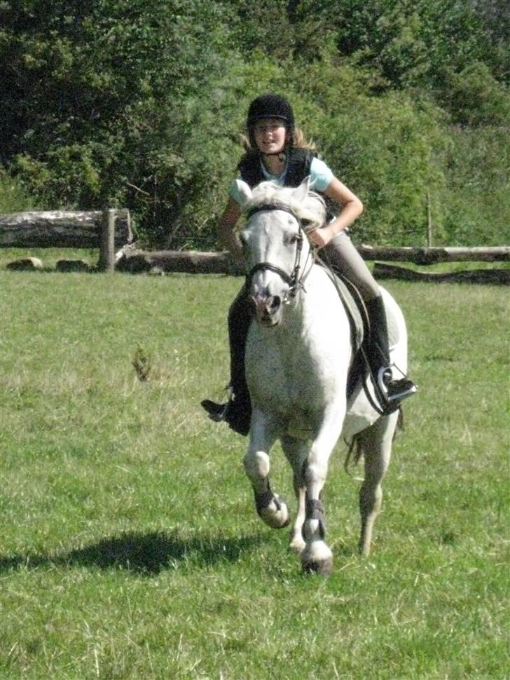 Søborggård Ridelejr Uge 32 billede 334