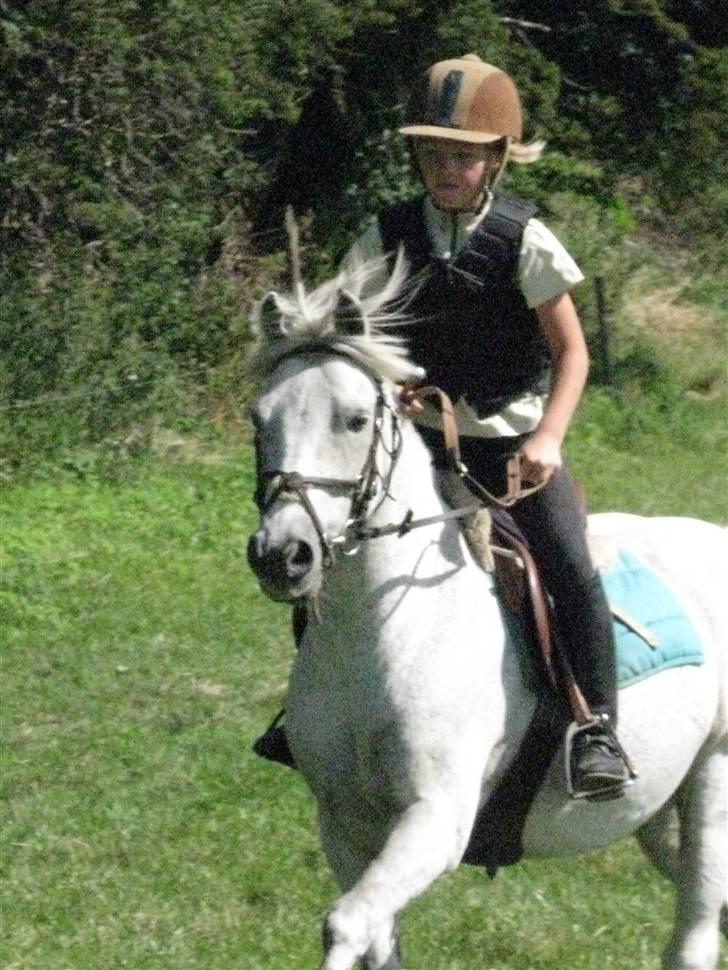 Søborggård Ridelejr Uge 32 billede 335