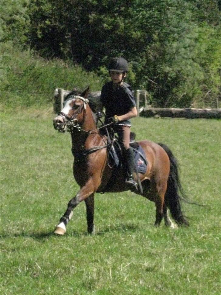 Søborggård Ridelejr Uge 32 billede 336