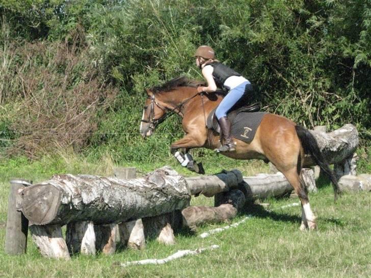 Søborggård Ridelejr Uge 32 billede 337