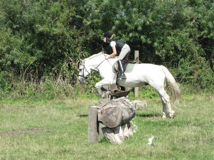 Søborggård Ridelejr Uge 32 billede 340