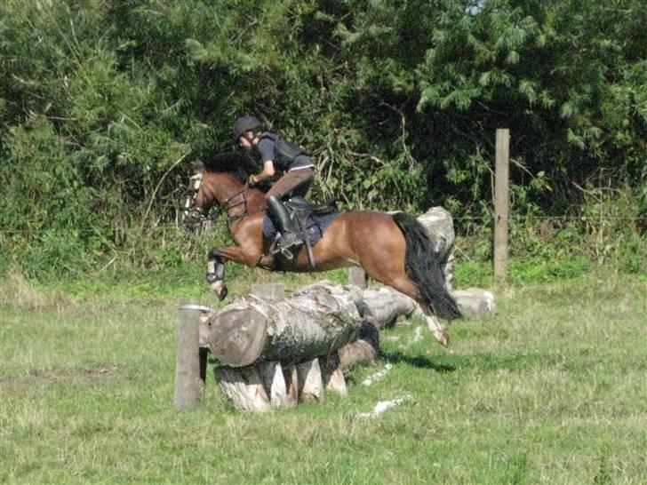 Søborggård Ridelejr Uge 32 billede 341