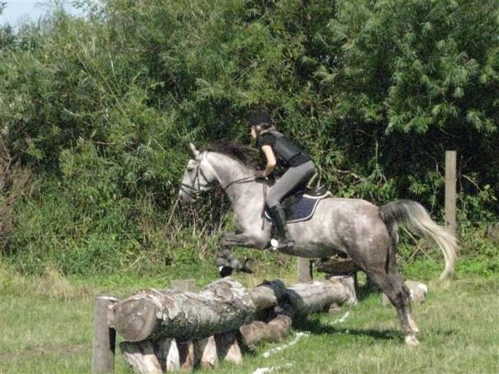Søborggård Ridelejr Uge 32 billede 342