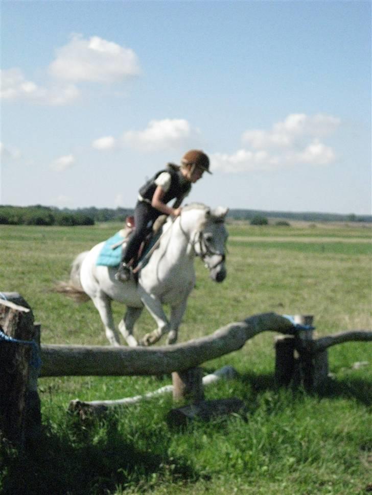 Søborggård Ridelejr Uge 32 billede 345