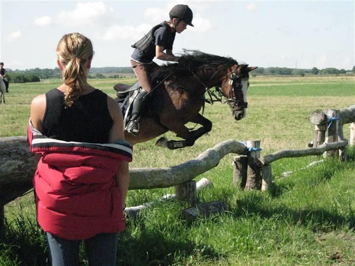 Søborggård Ridelejr Uge 32 billede 346