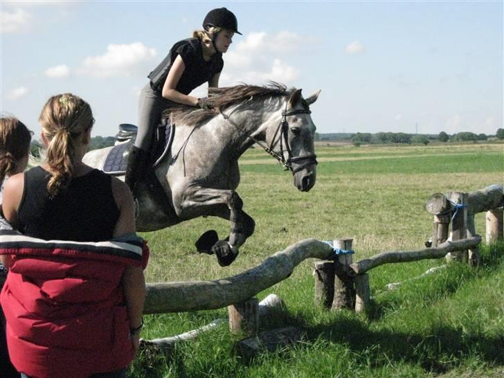 Søborggård Ridelejr Uge 32 billede 347